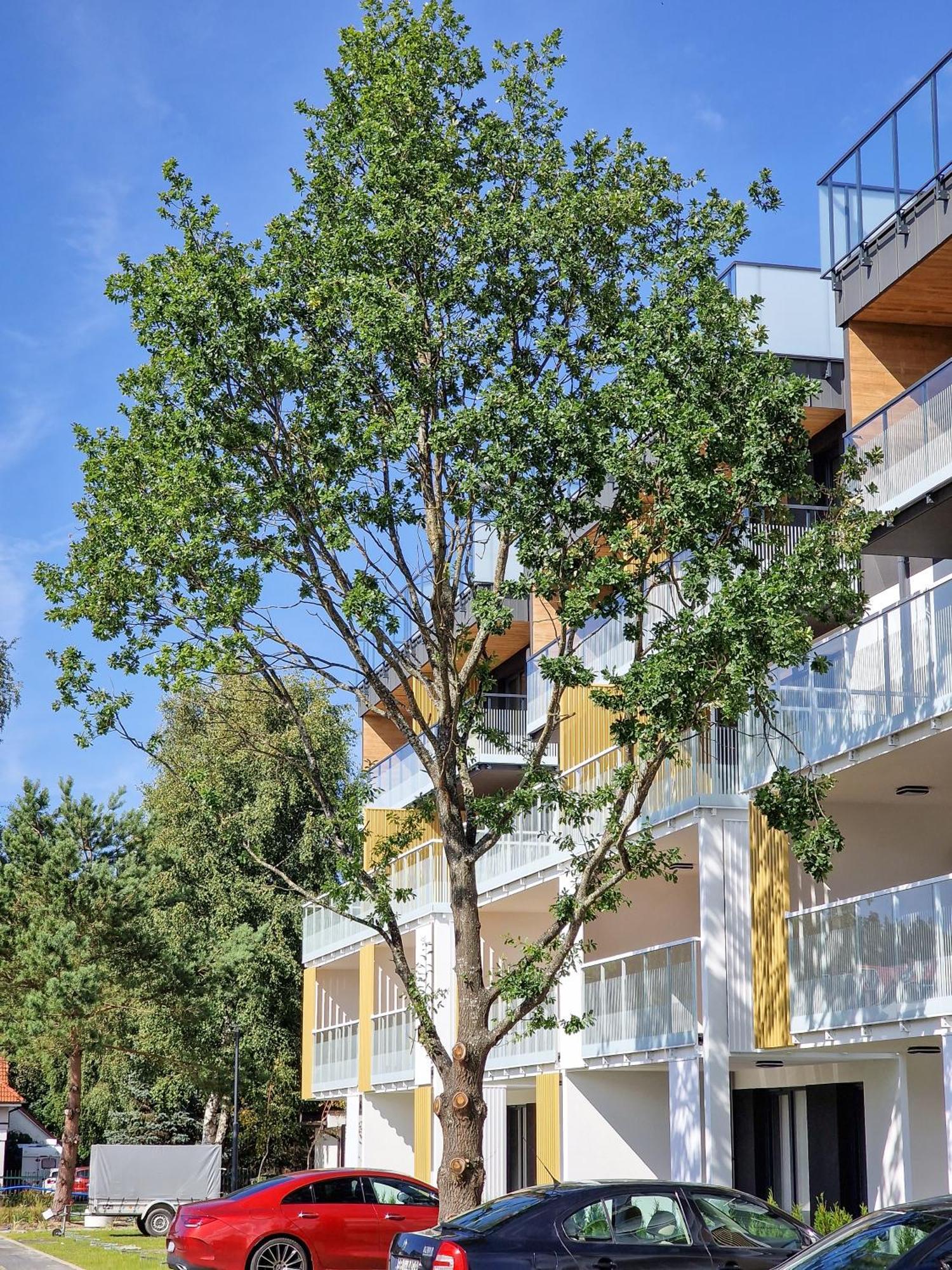 Posesja Apartamenty & Spa - Posesja Plazowa 4A II Grzybowo  Buitenkant foto